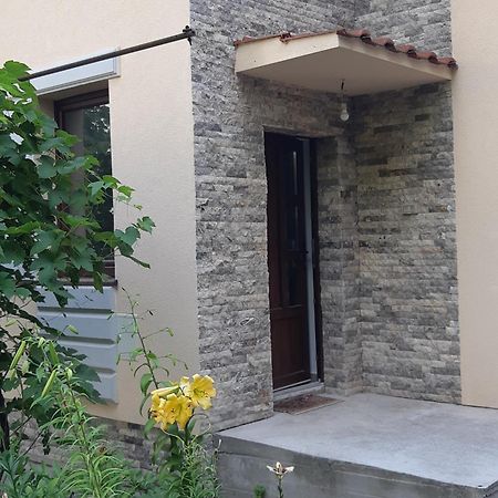 Casa Cu Tei Apartment Cluj-Napoca Luaran gambar