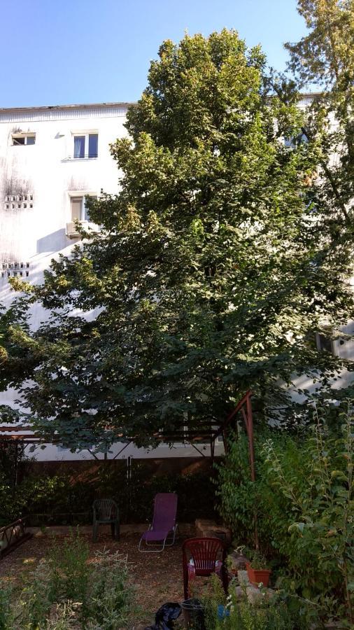 Casa Cu Tei Apartment Cluj-Napoca Luaran gambar