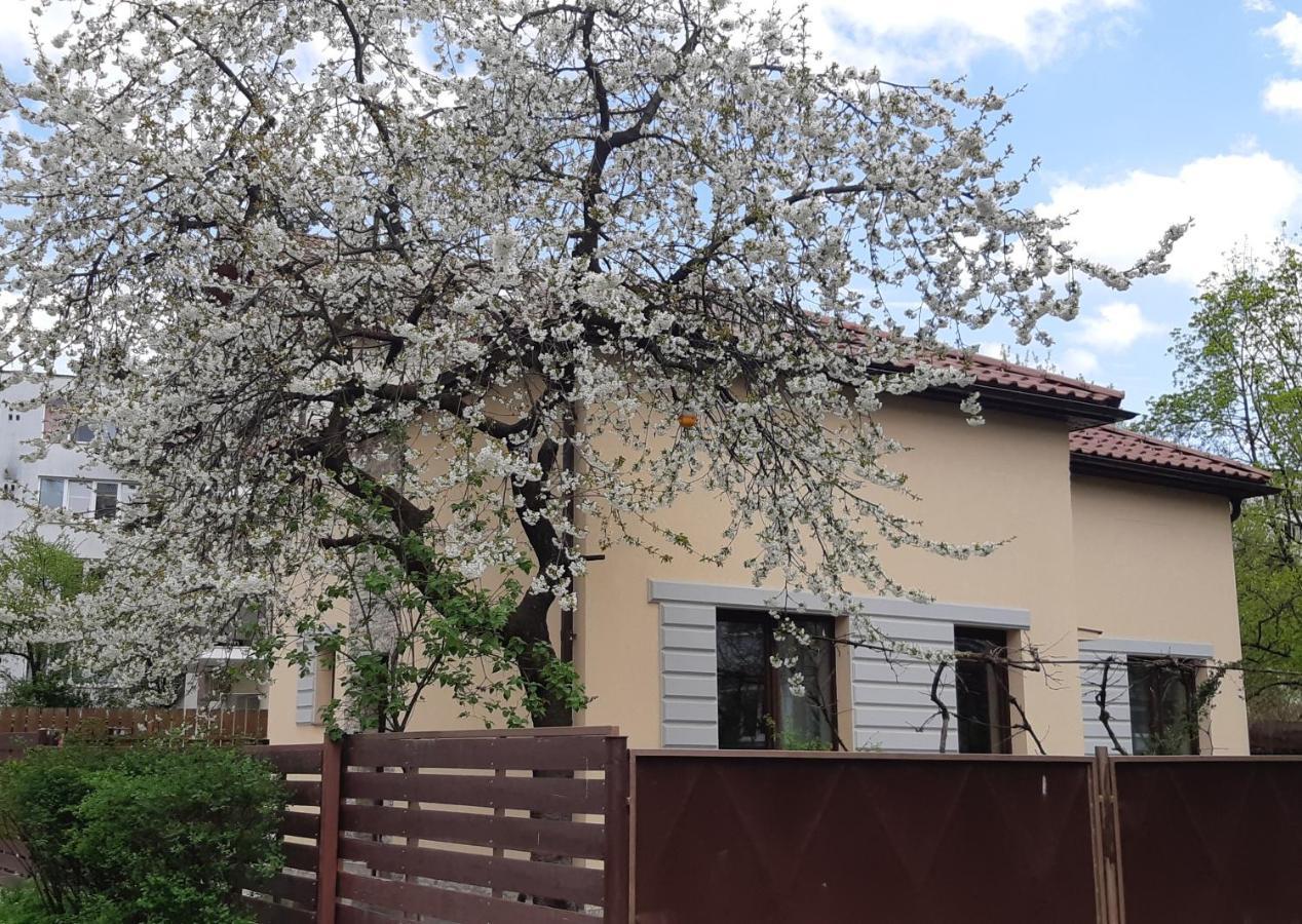 Casa Cu Tei Apartment Cluj-Napoca Luaran gambar